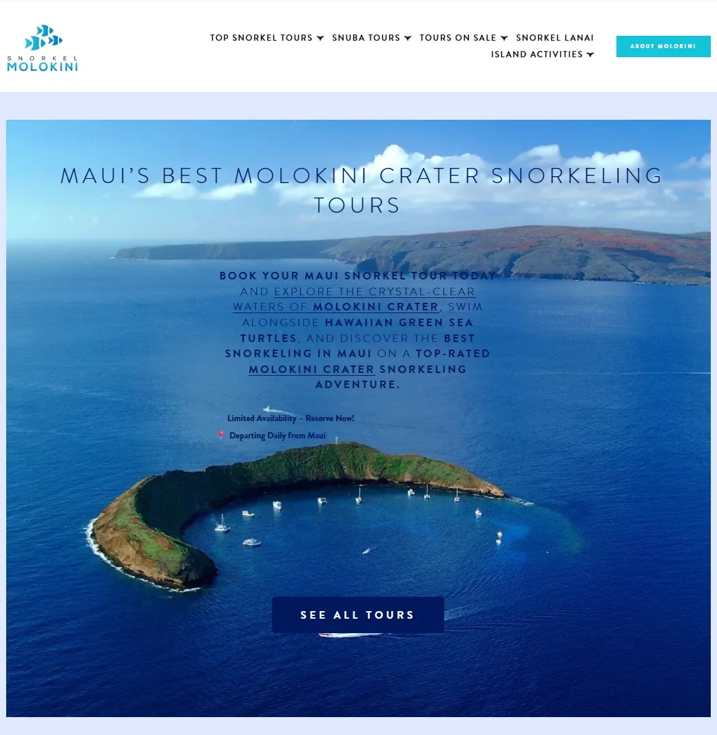 Snorkel Molokini homepage: the headline 'Maui's Best Molokini Crater Snorkeling Tours' over an aerial photo of Molokini Crater, with a See All Tours button.